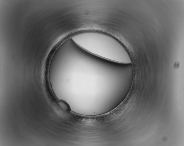 X0000102820440200808181028