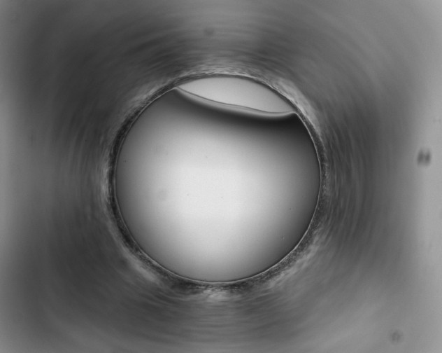 X0000102820441200808181029