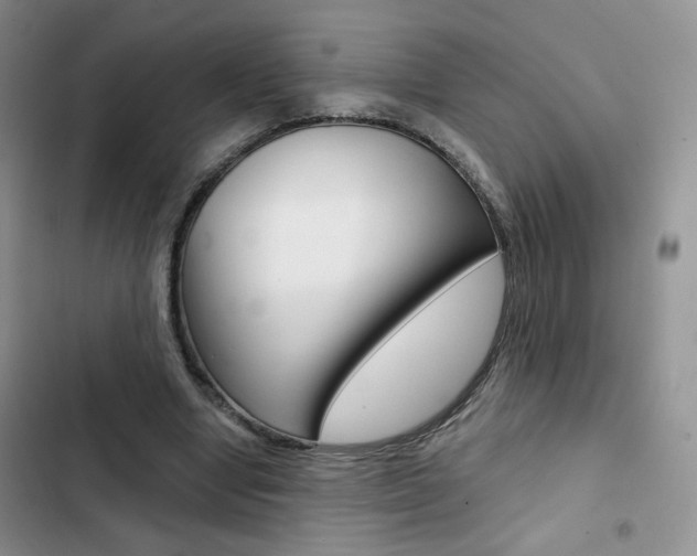 X0000102820442200808181029