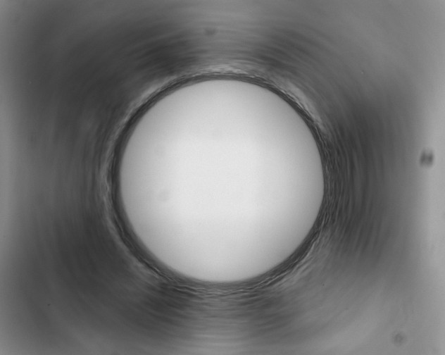 X0000102820444200808181029