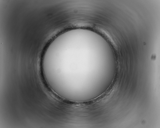 X0000102820447200808181029