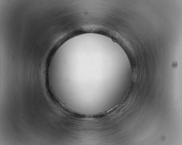 X0000102820448200808181029