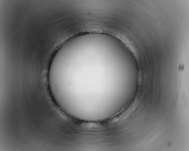 X0000102820449200808181029