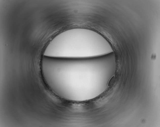 X0000102820450200808181029