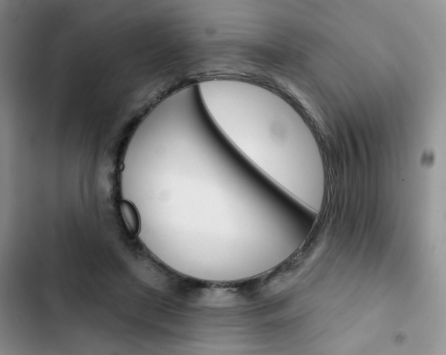 X0000102820451200808181029