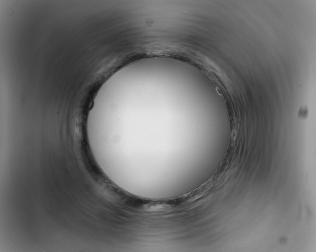 X0000102820452200808181029