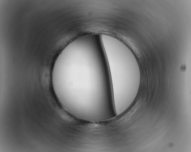 X0000102820453200808181029