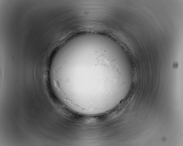 X0000102820456200808181029