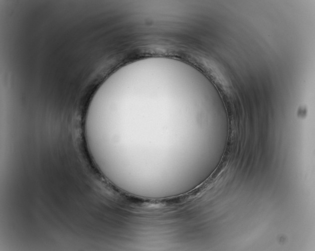 X0000102820457200808181029