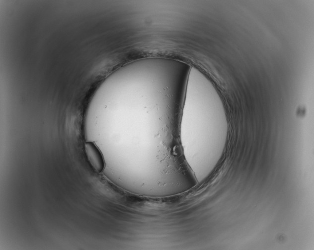 X0000102820458200808181029