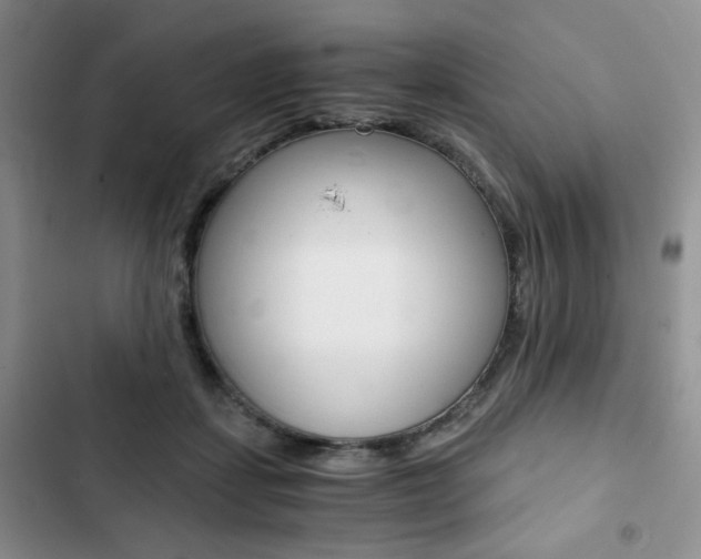 X0000102820459200808181029