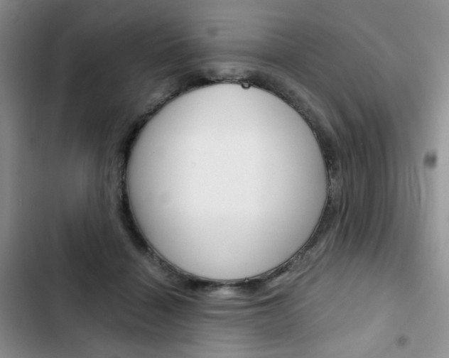 X0000102820460200808181029