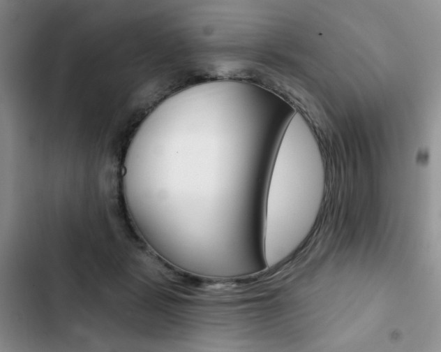 X0000102820461200808181029