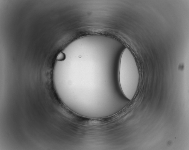 X0000102820462200808181029