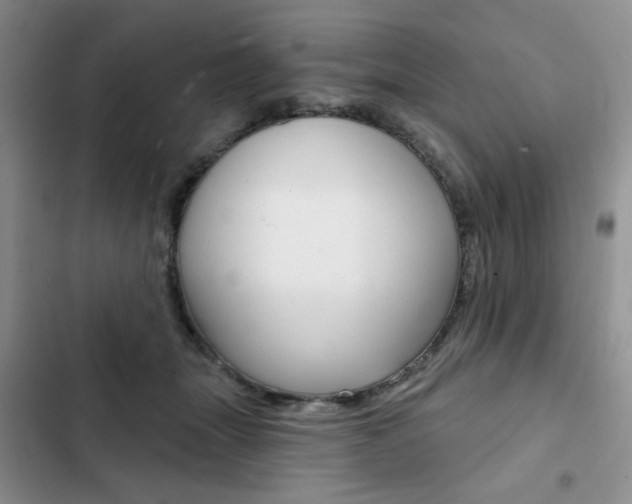 X0000102820463200808181029