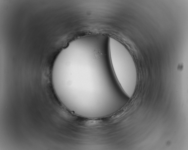 X0000102820465200808181029