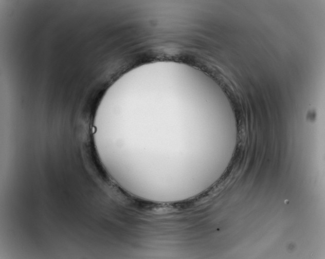 X0000102820468200808181029