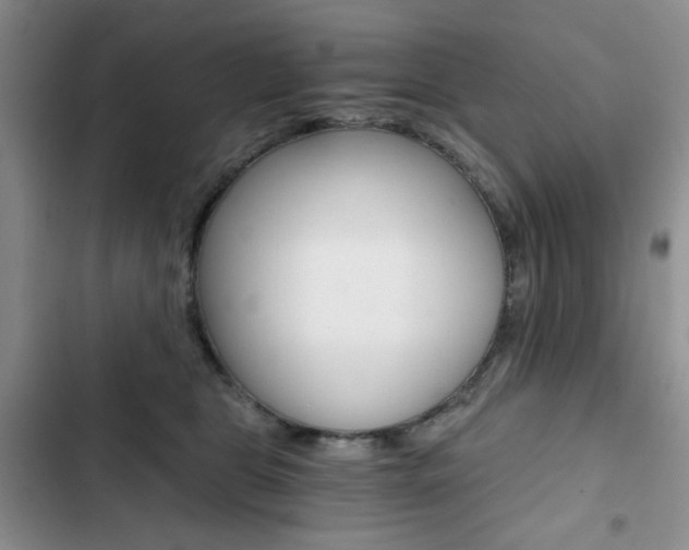 X0000102820469200808181029