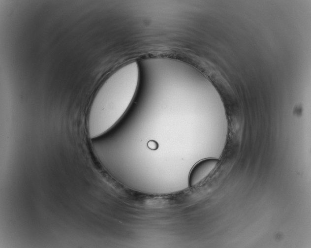 X0000102820470200808181029