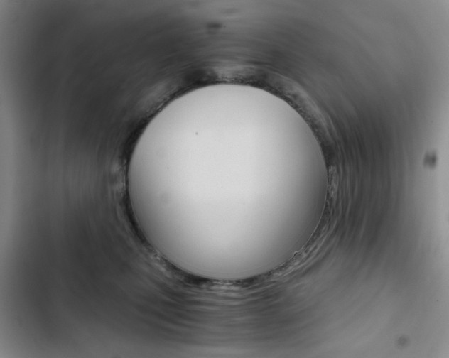 X0000102820471200808181029