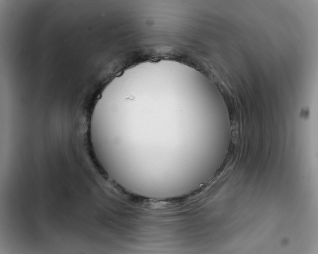 X0000102820472200808181029