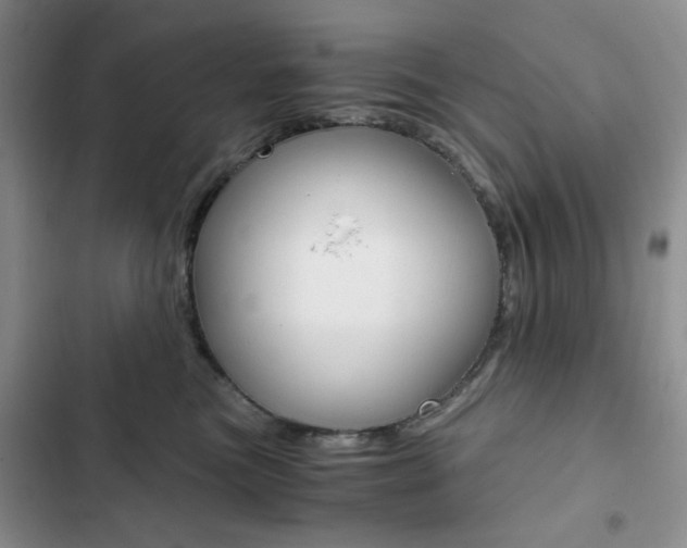 X0000102820473200808181029