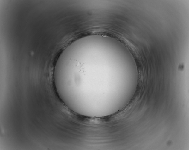 X0000102820475200808181029