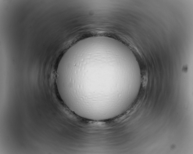 X0000102820476200808181029