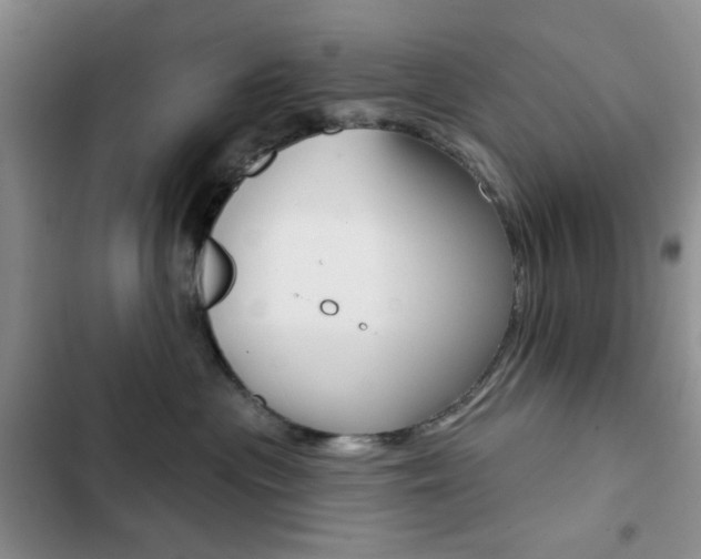 X0000102820477200808181029