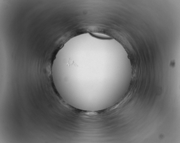 X0000102820478200808181029