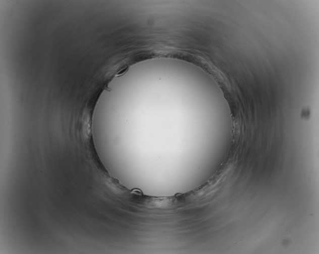 X0000102820479200808181029