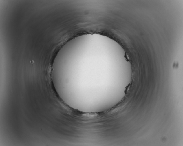X0000102820480200808181029