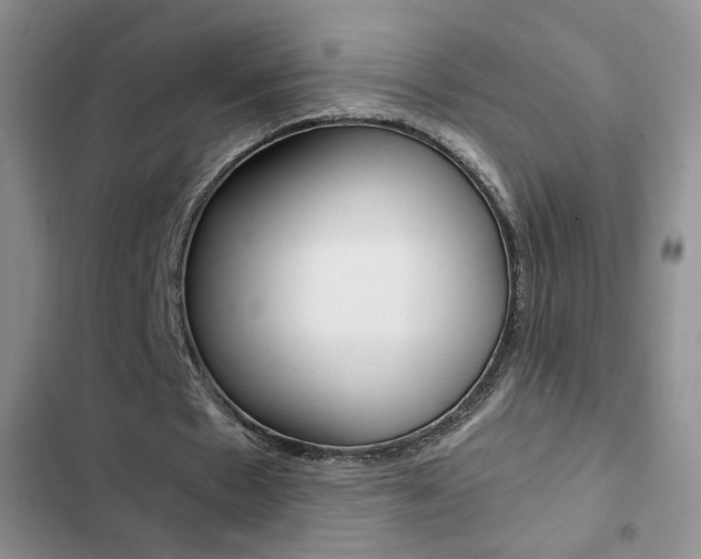 X0000102820481200808181028