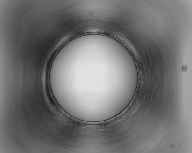 X0000102820482200808181028