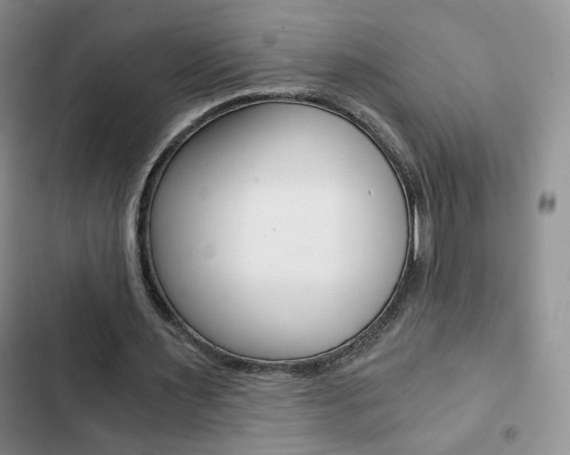 X0000102820483200808181028
