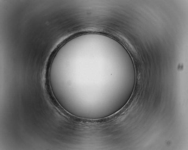 X0000102820484200808181028