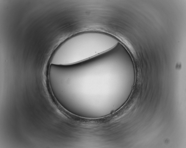 X0000102820485200808181028