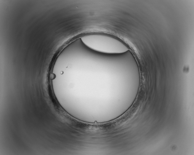 X0000102820487200808181028