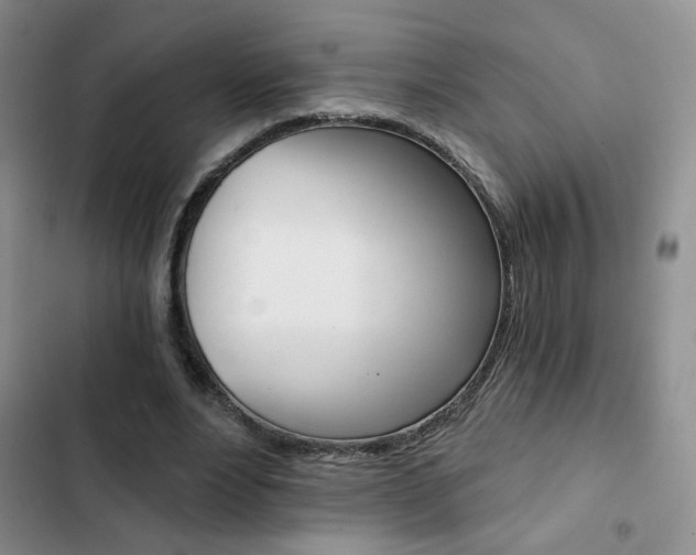 X0000102820488200808181028