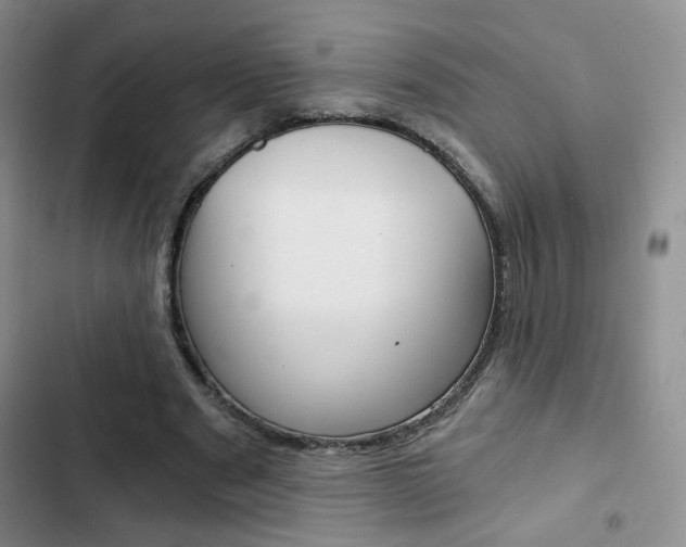 X0000102820489200808181028