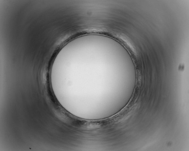 X0000102820491200808181028