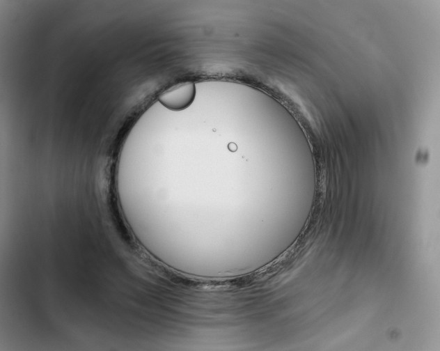 X0000102820495200808181028