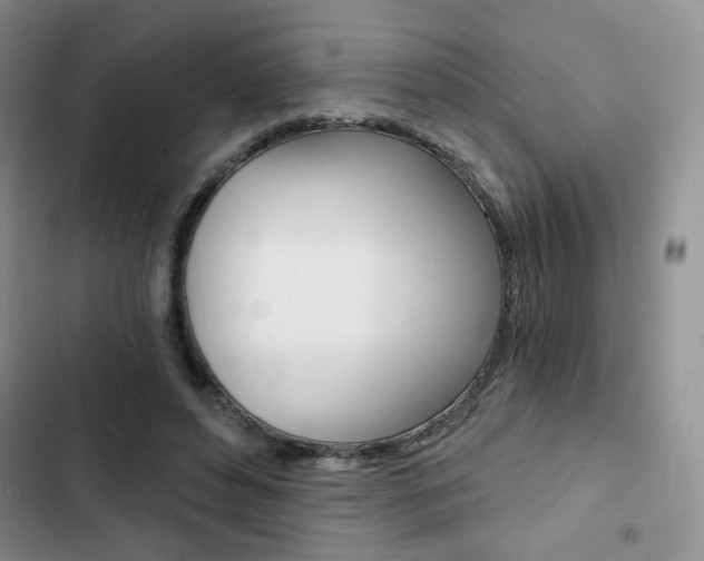 X0000102820496200808181028