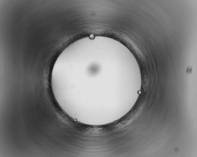 X0000102820497200808181028