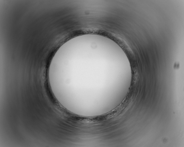 X0000102820498200808181028
