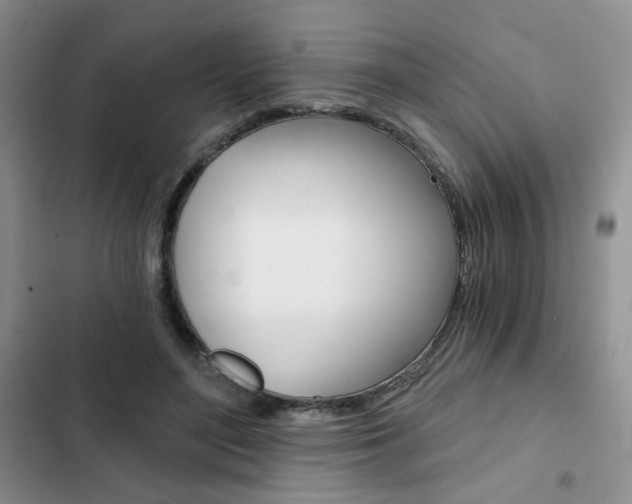 X0000102820500200808181028