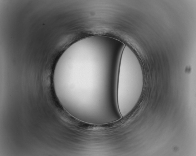 X0000102820501200808181028