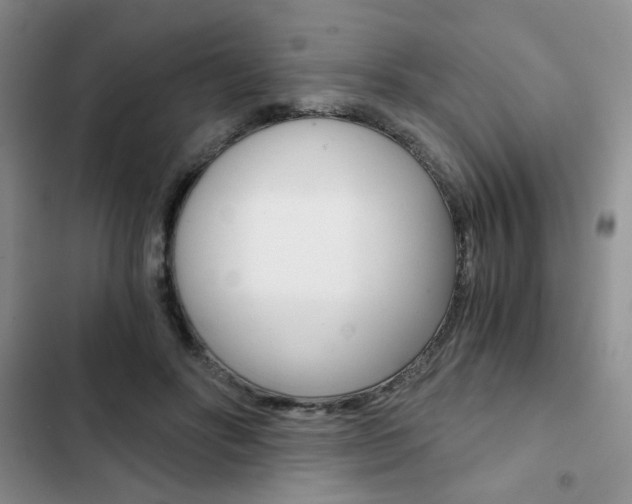 X0000102820502200808181028