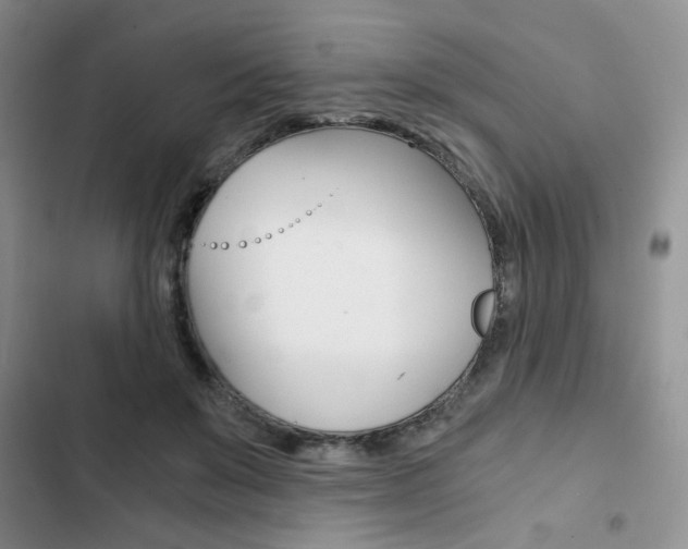 X0000102820503200808181028