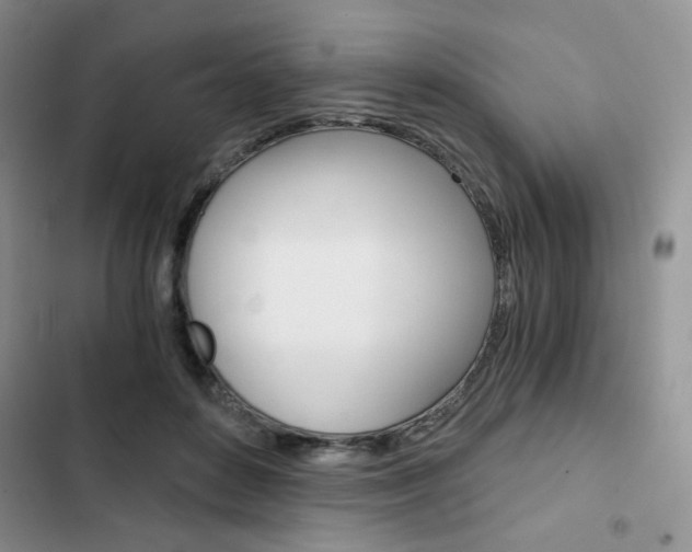 X0000102820504200808181028
